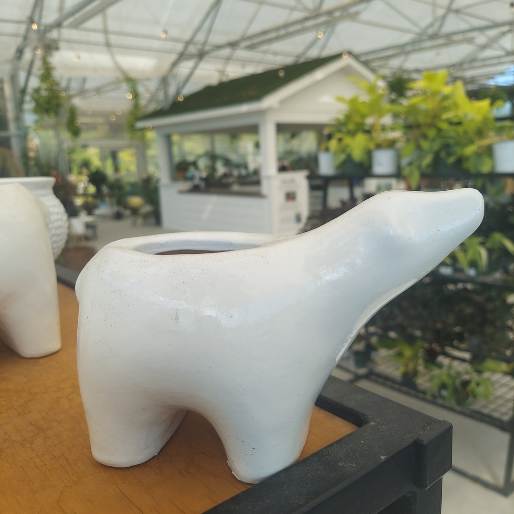 Polar Bear 6" White
