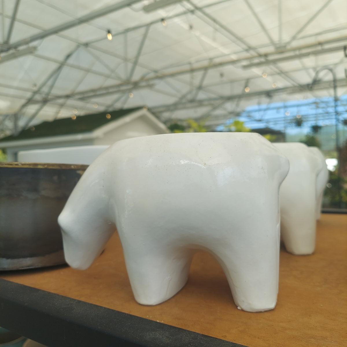 Polar Bear 6" White