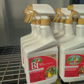 32 OZ BONIDE DEADBUG BREW RTU