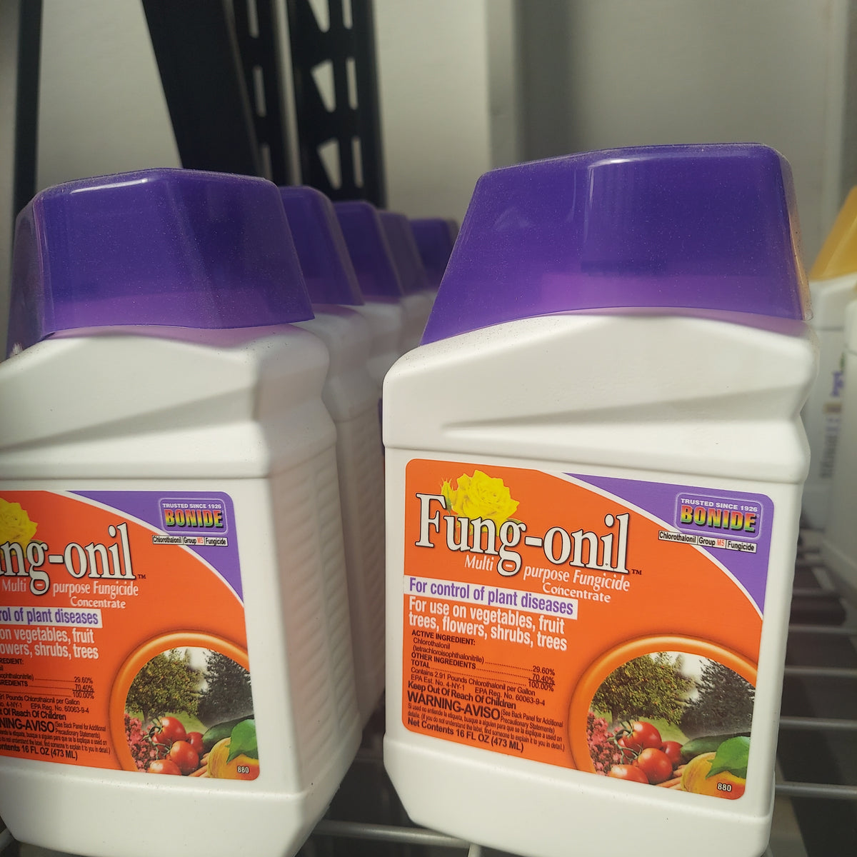 1Pt Fungonil Conc.