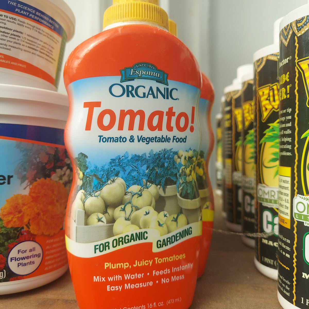 16 OZ ESPOMA TOMATO