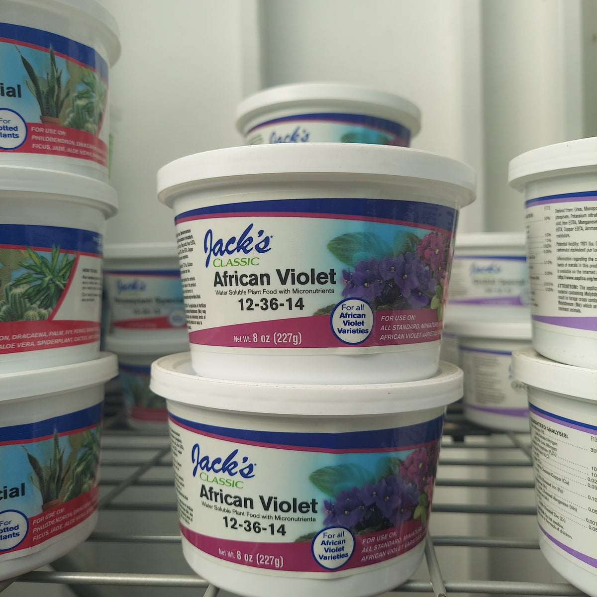 8 OZ AFRICAN VIOLET 12-36-14