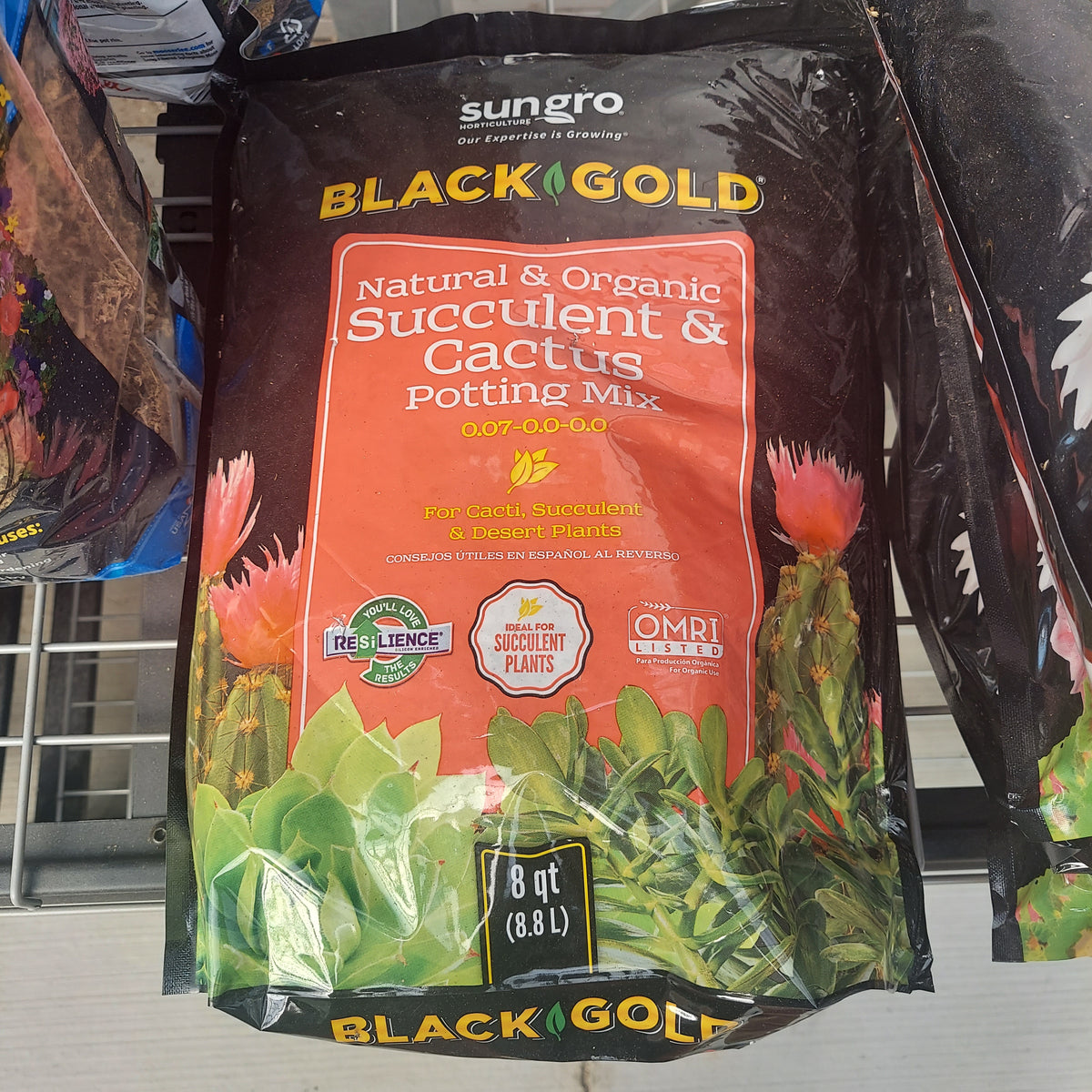 8 QT BLACK GOLD CACTUS MIX
