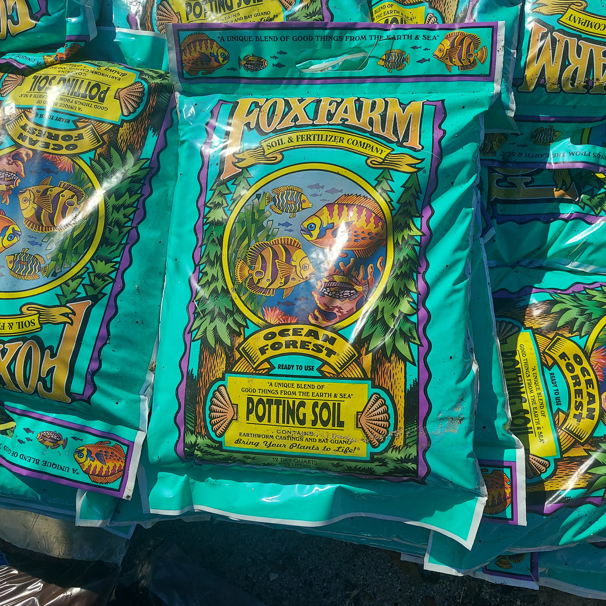 12 QT OCEAN FOREST POTTING SOIL