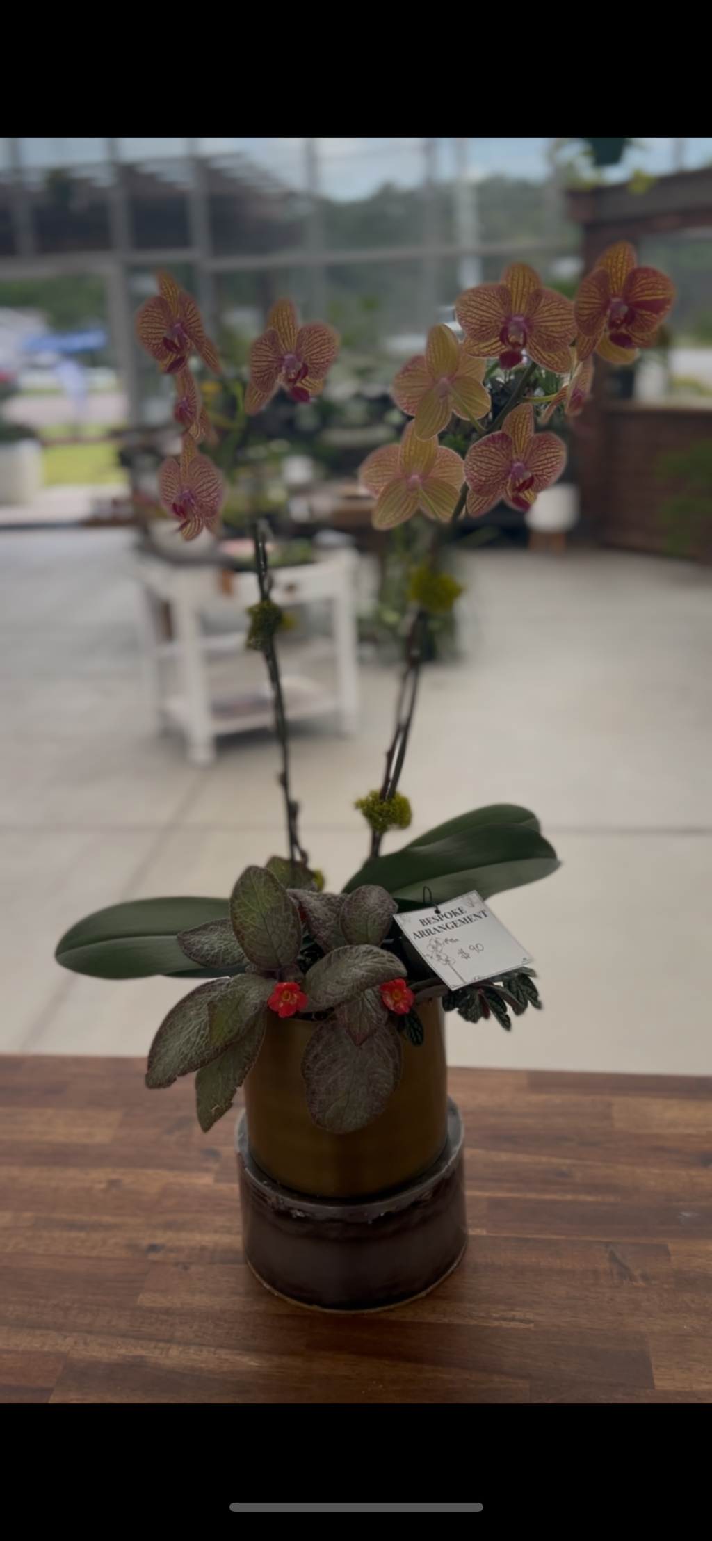 Large Orchid Arrangement