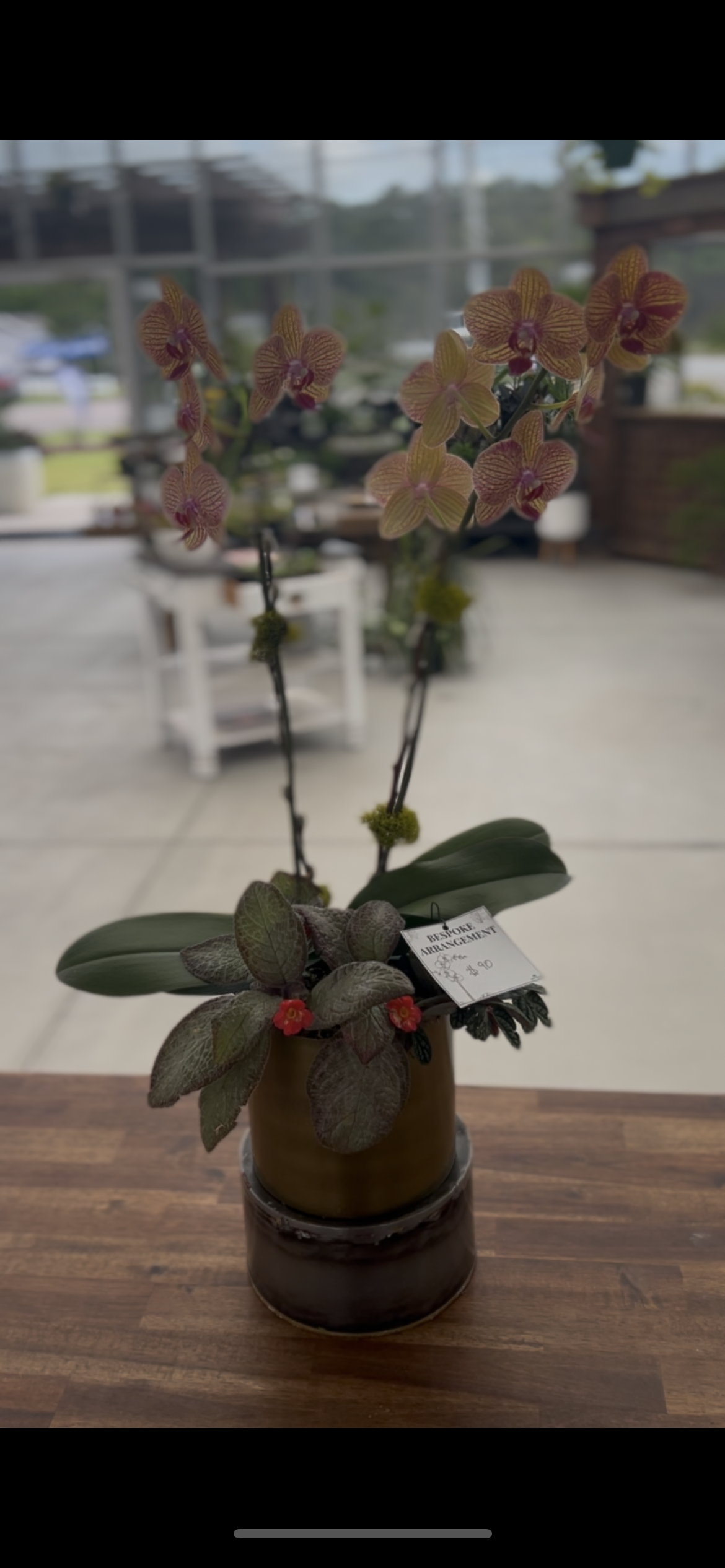 Large Orchid Arrangement