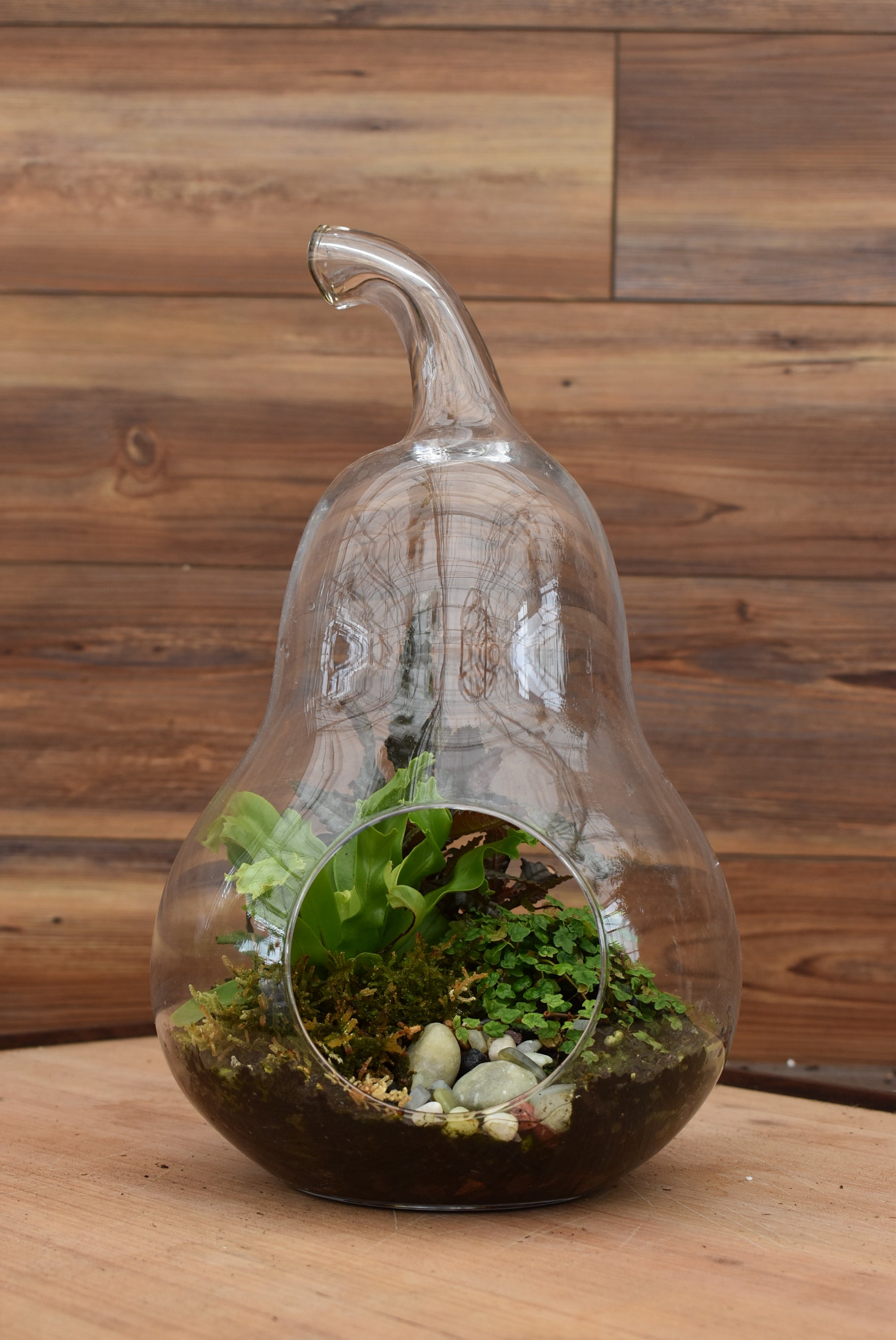 Large Glass Terrarium