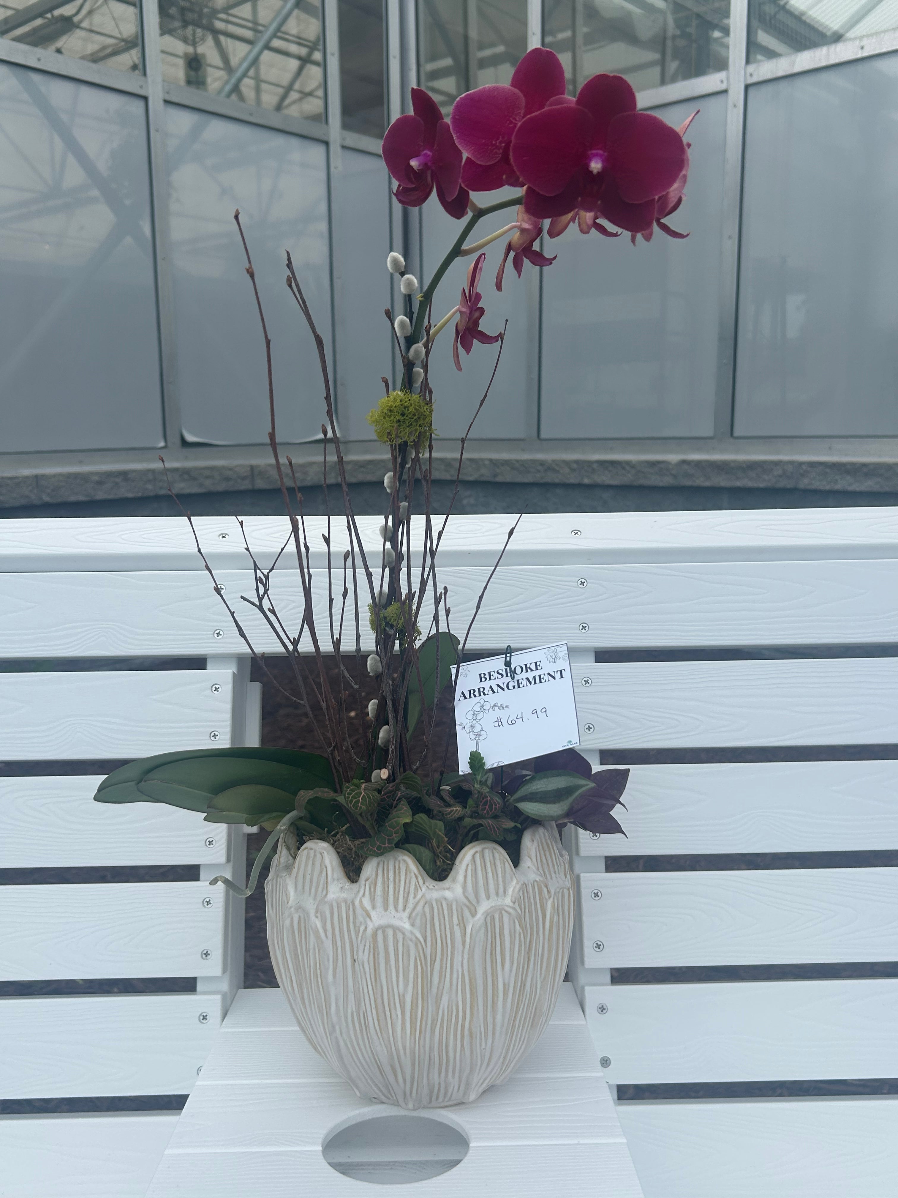 Medium Orchid Arrangement