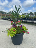 Large Outdoor Arrangement