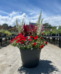 Medium Outdoor Arrangement