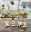 Ceramic air plant holder