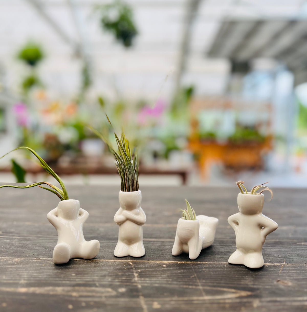 Ceramic air plant holder