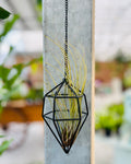 Hanging Geometric Air Plant Holder