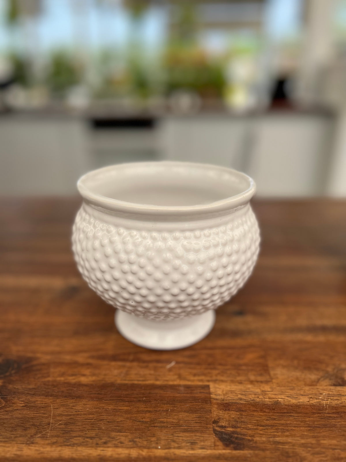 Spotti Pot 5.5"x5"