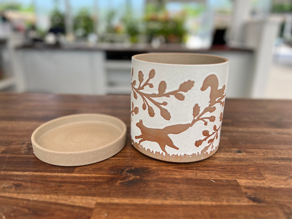 Foxtail Pot With Saucer 6.5"x7.5"