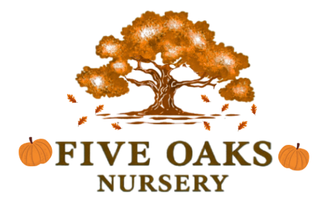 Five Oaks